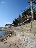 IMG_2812