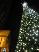 IMG_2855
