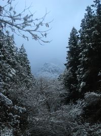 IMG_3229