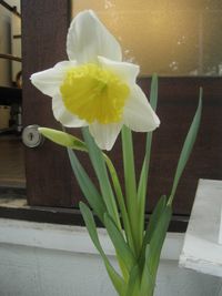 IMG_3258