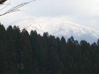 IMG_3102