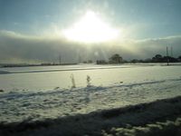 IMG_3113