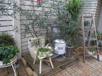 IMG_3142