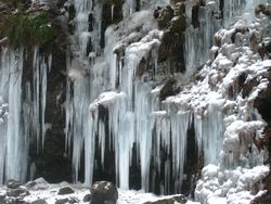 IMG_3218