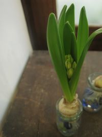 IMG_3274