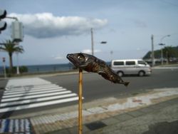 IMG_3434