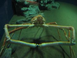 IMG_3669