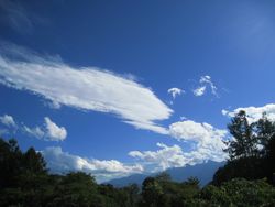 IMG_3982