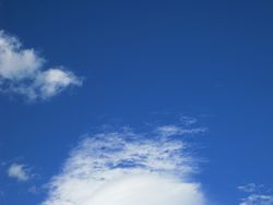 IMG_3994