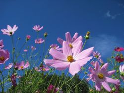 IMG_3976