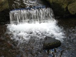 IMG_4029