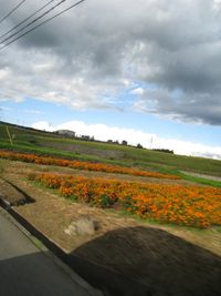 IMG_4043