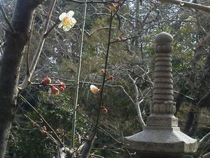2012022813360000
