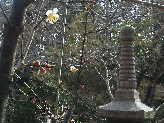 2012022813360000