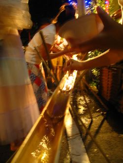 IMG_5376 IMG_5376