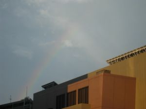 IMG_6017 IMG_6017